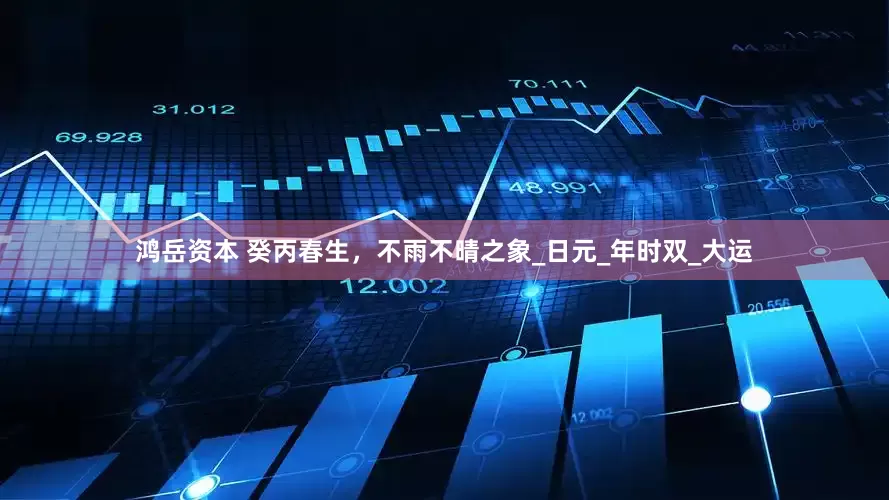 鸿岳资本 癸丙春生，不雨不晴之象_日元_年时双_大运