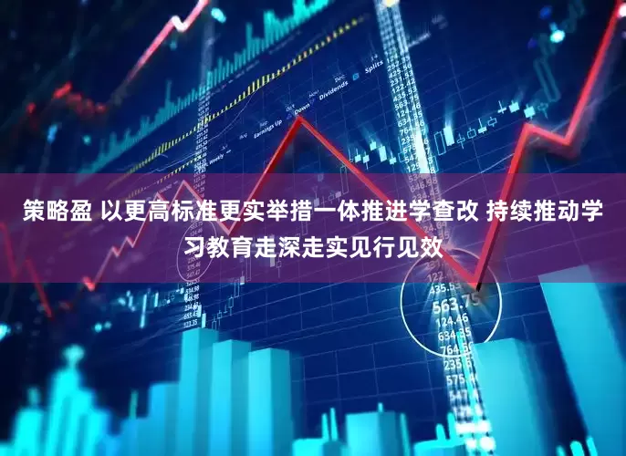 策略盈 以更高标准更实举措一体推进学查改 持续推动学习教育走深走实见行见效