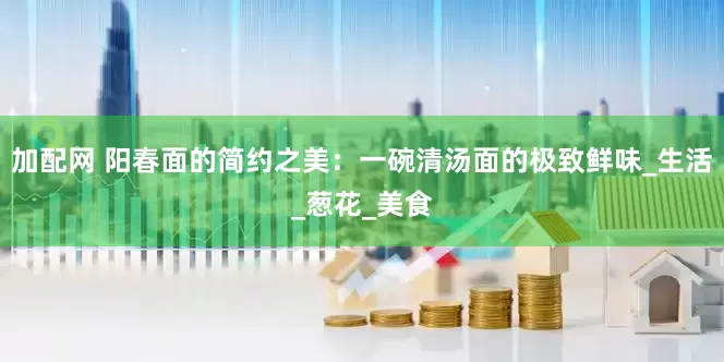 加配网 阳春面的简约之美：一碗清汤面的极致鲜味_生活_葱花_美食