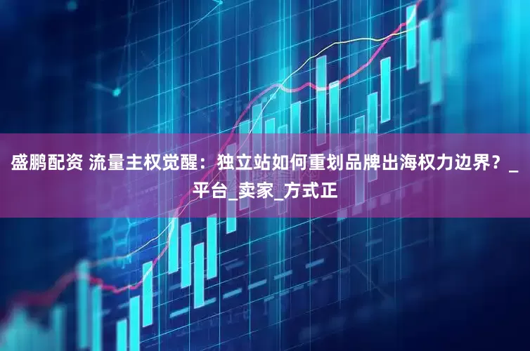 盛鹏配资 流量主权觉醒：独立站如何重划品牌出海权力边界？_平台_卖家_方式正